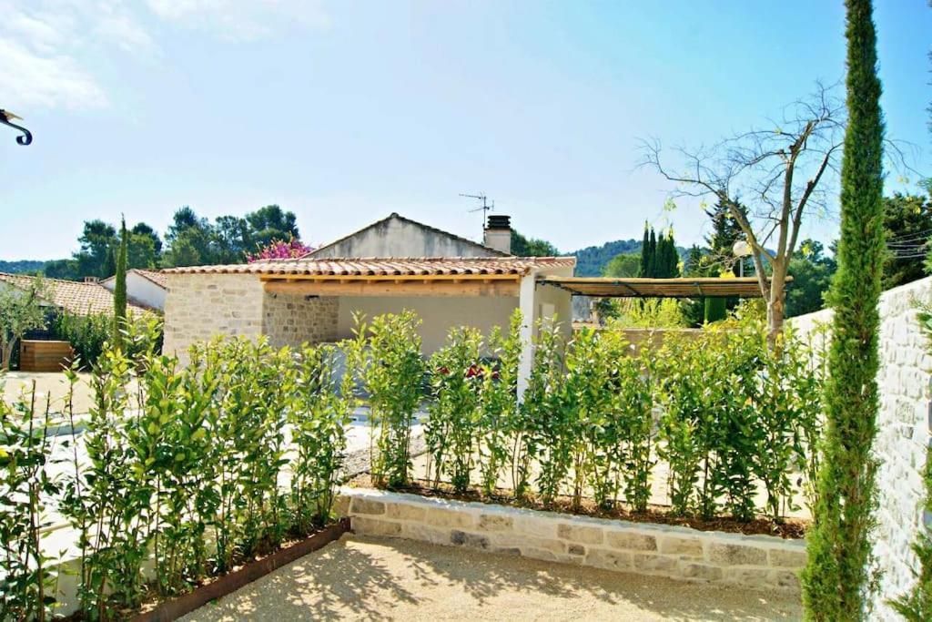 La Maison D'Angele Saint Remy De Provence Saint-Rémy-de-Provence Exterior photo